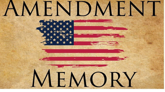 CONSTITUTION AMENDMENT MEMORY